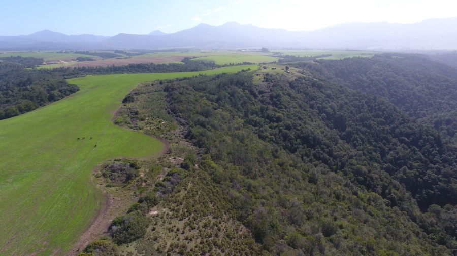  Bedroom Property for Sale in Knysna Rural Western Cape